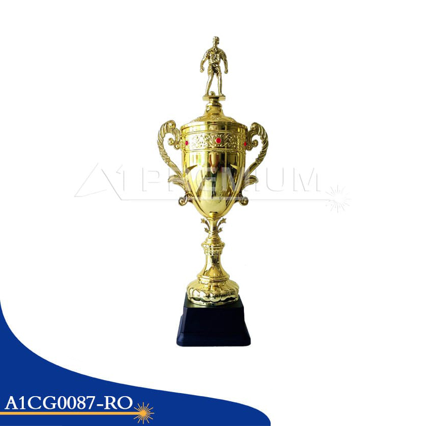 A1CG0087-RO