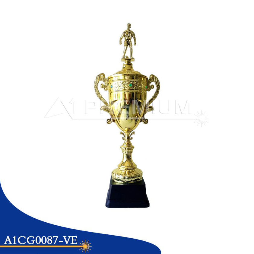 A1CG0087-VE