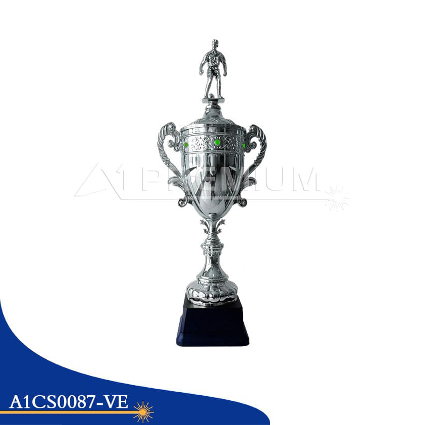 A1CS0087-VE