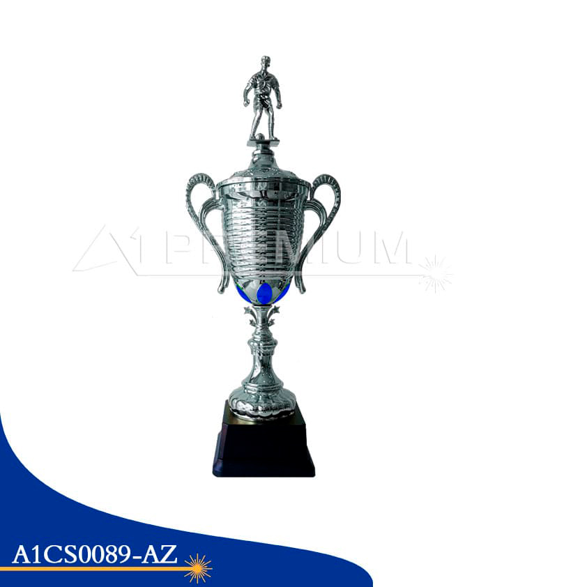 A1CS0089-CT