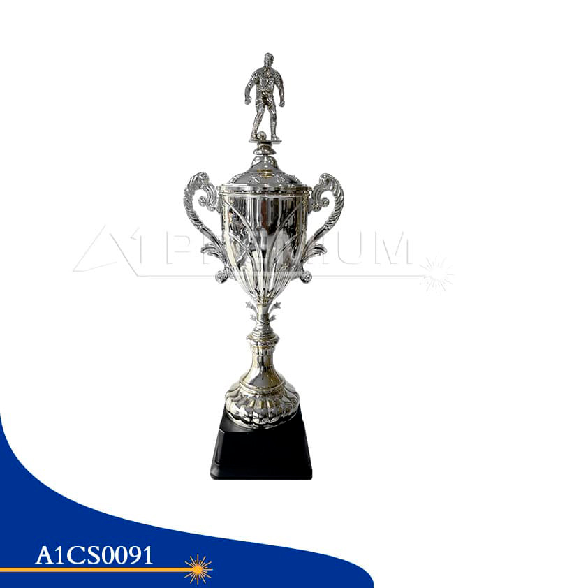 A1CS0091-CT