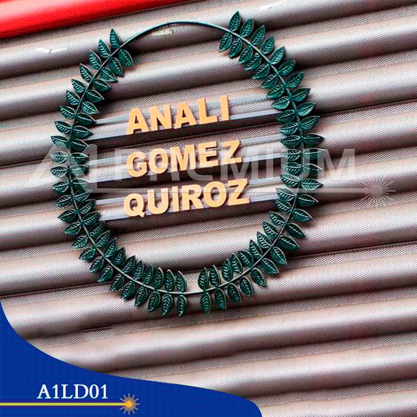 A1LD01
