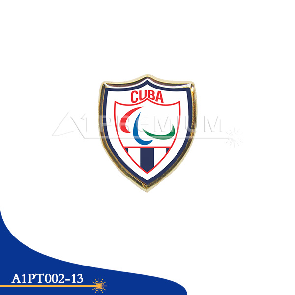 A1PIIZIN07