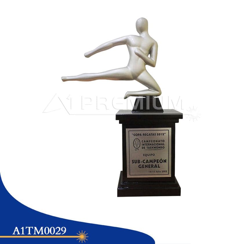 A1TM0029