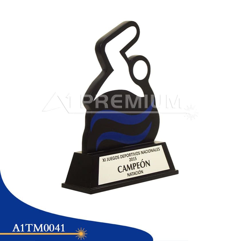 A1TM0041