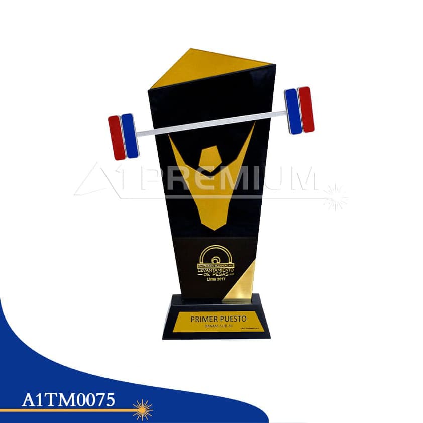 A1TM0075