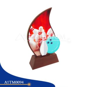 A1TM0094