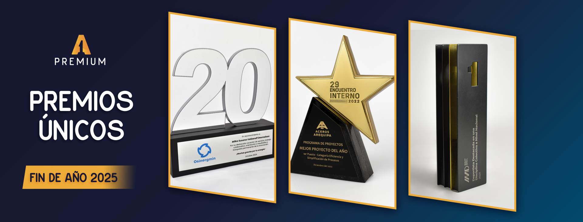 premios-unicos-2025.png